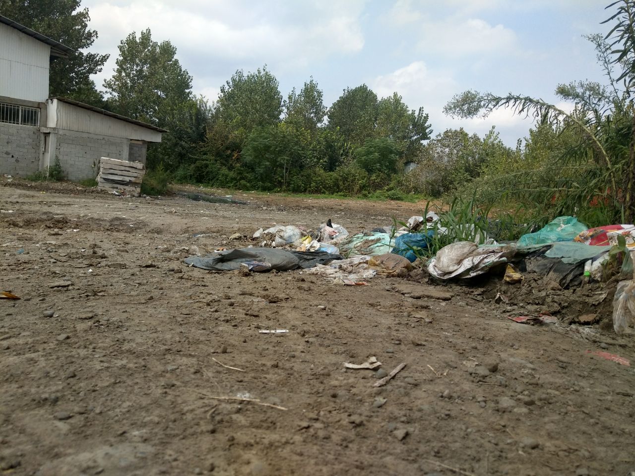 شهرداری لاهیجان جایگاه تفکیک پسماند خشک واقع در ابتدای روستای لیالمان را از زباله های تر پاکسازی کرد!