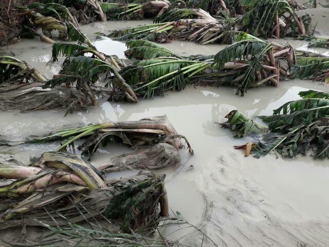 آخرین وضعیت سیلاب سیستان و بلوچستان بروز رسانی می‌شود؛ آب پرحجم پشت سدها و بندسارها در وضعیت هشدار است