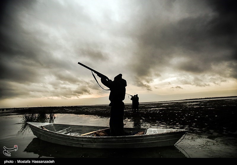 فصل شکار پرندگان در استان گیلان ۳۰ بهمن‌ماه به پایان می‌رسد