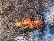 رییس اداره منابع طبیعی و آبخیزداری سیاهکل گفت:۱۲ هکتار از جنگل های شهرستان در اثر وزش باد گرم دچار حریق شده بود که تا ساعت شش صبح امروز در اغلب مناطق آتش خاموش شد.