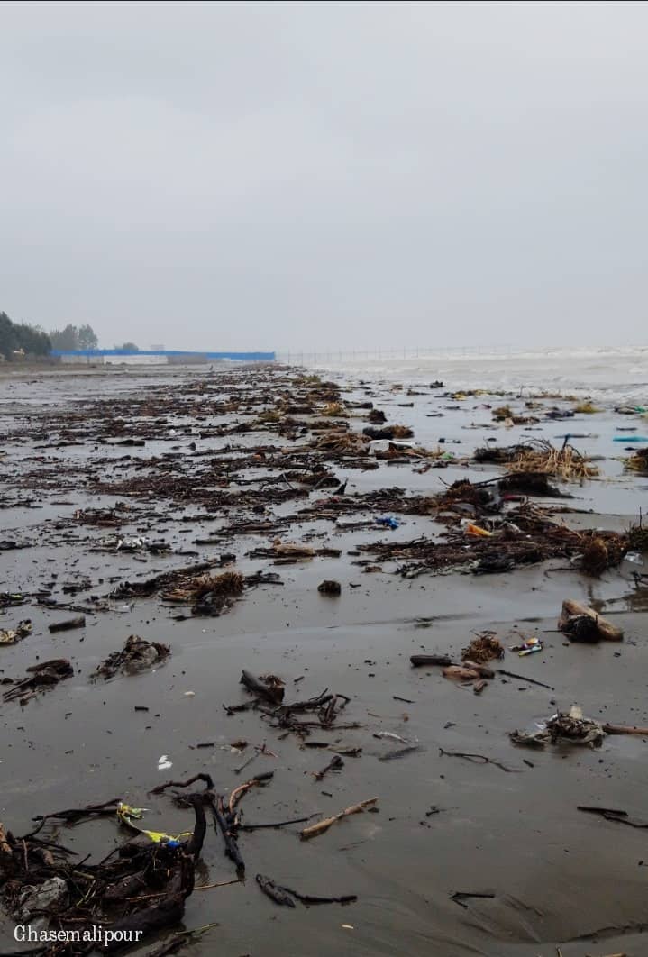 گزارش تصویری/گوشه ای از دریای خزر، ساحل گیسوم