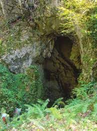 ♦️ساماندهی چشمه‌های کوهستانی برای تامین آب عشایر گیلان