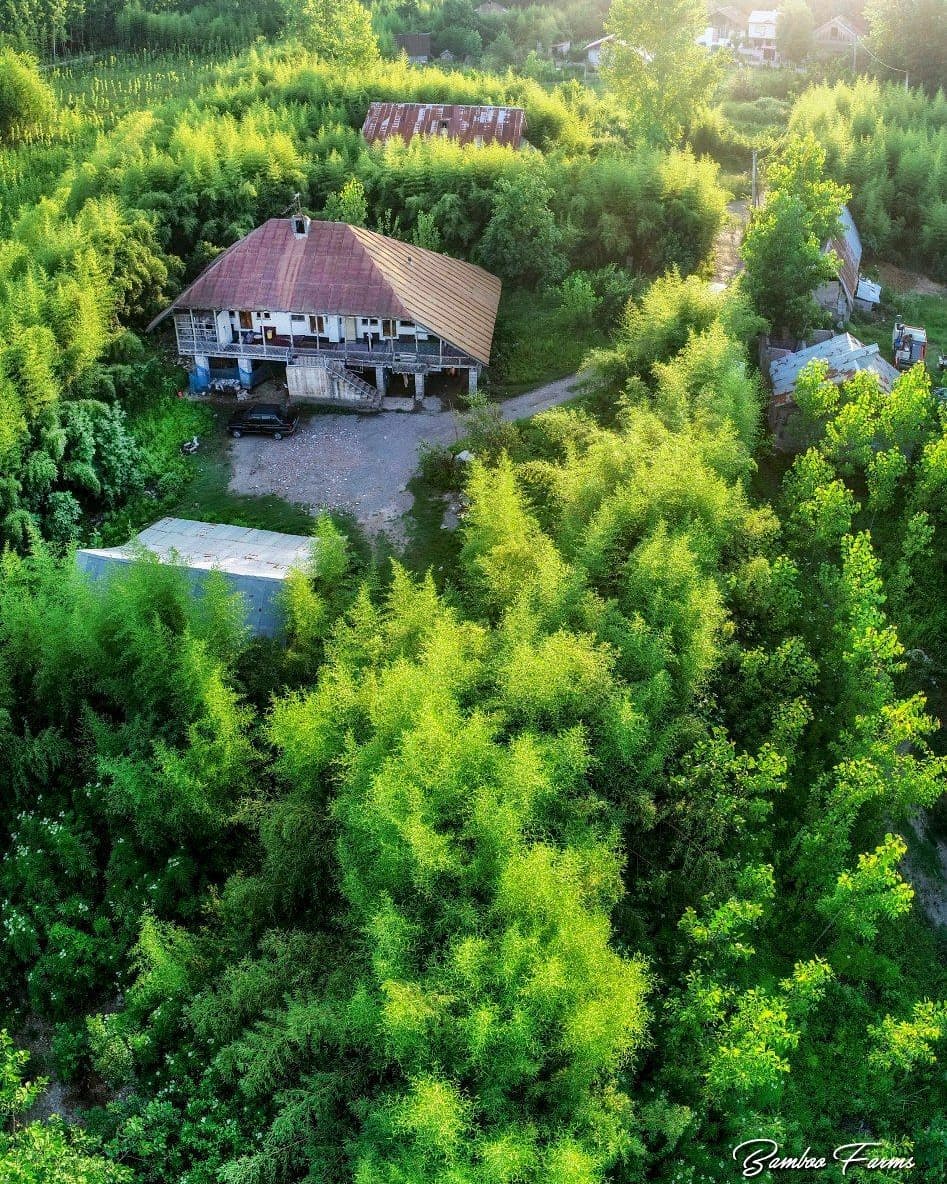 ❇️به بهانه روز جهانی بامبو در پایتخت بامبو ایران