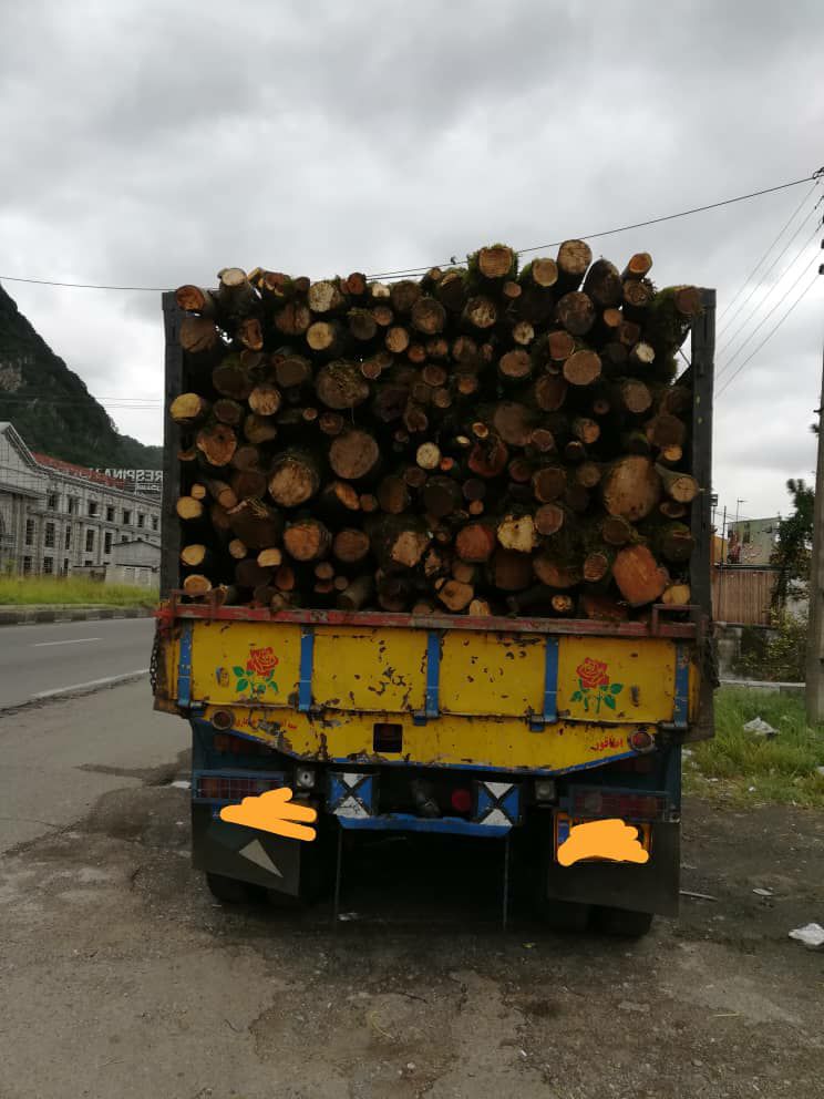 کشف ۱۰ تن چوب قاچاق در لاهیجان