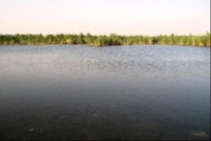 احیای بخشی از تالاب شادگان که به کانون گرد و غبار تبدیل شده بود