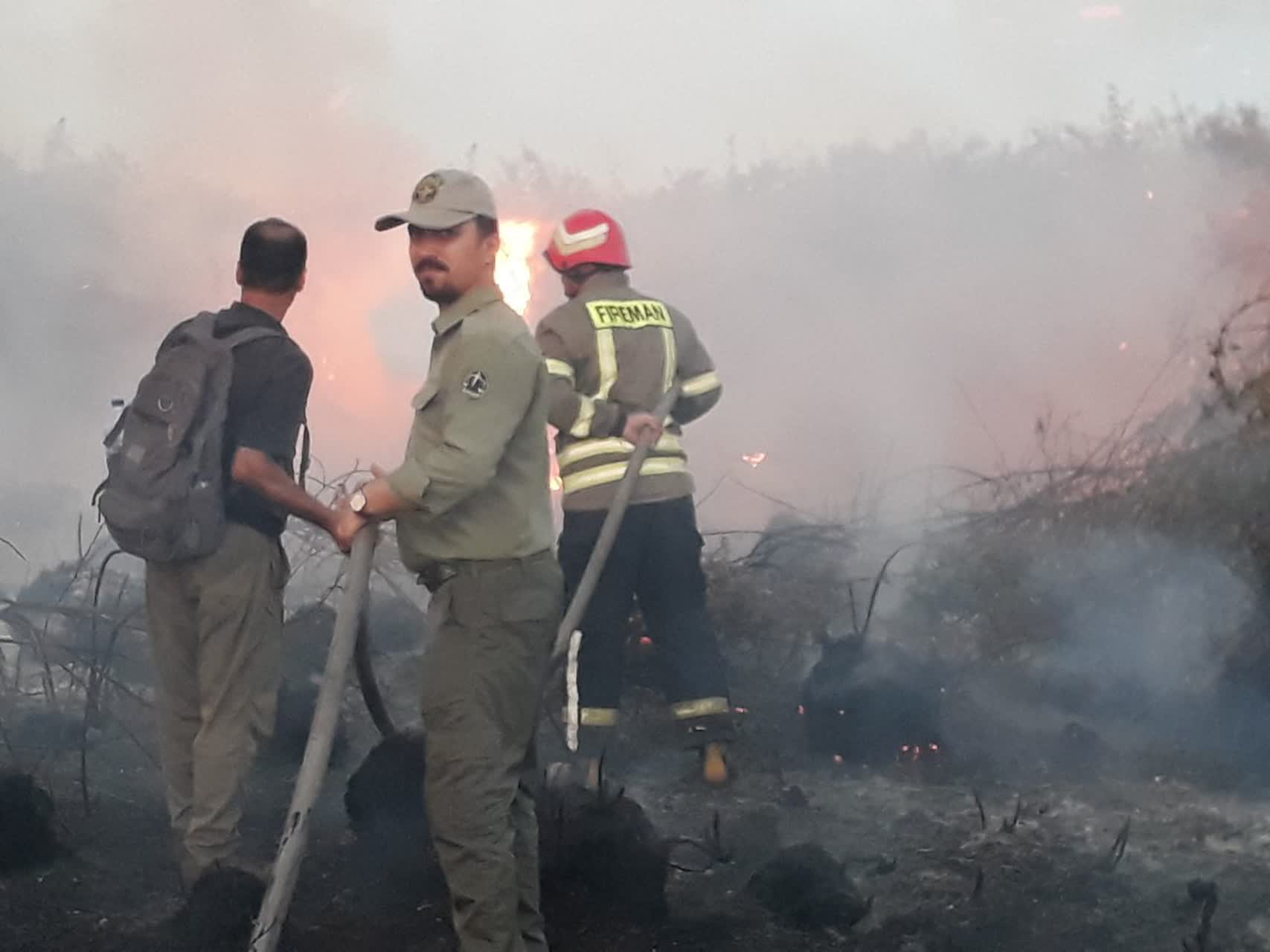 شعله های آتش در پارک ملی بوجاق دوباره زبانه کشید+ ویدئو