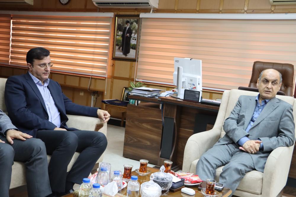 رونق زراعت چوب به توسعه اقتصادی گیلان کمک می‌کند