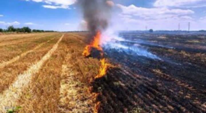 آتش زدن کاه و کلش ممنوع است و پیگرد قانونی دارد