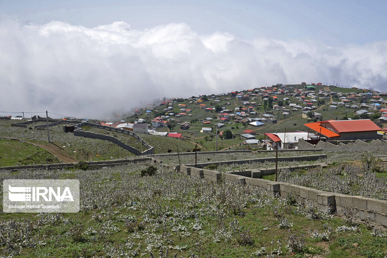 ۲ نفر از عاملان حمله به پاسگاه منابع طبیعی تالش دستگیر شدند