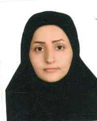 چای گیلان؛ میراثی در آستانه فراموشی یا فرصتی برای بازآفرینی اقتصادی؟