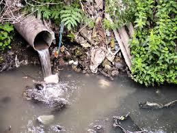 عروس گیلان زیر سایه‌ی تعفن