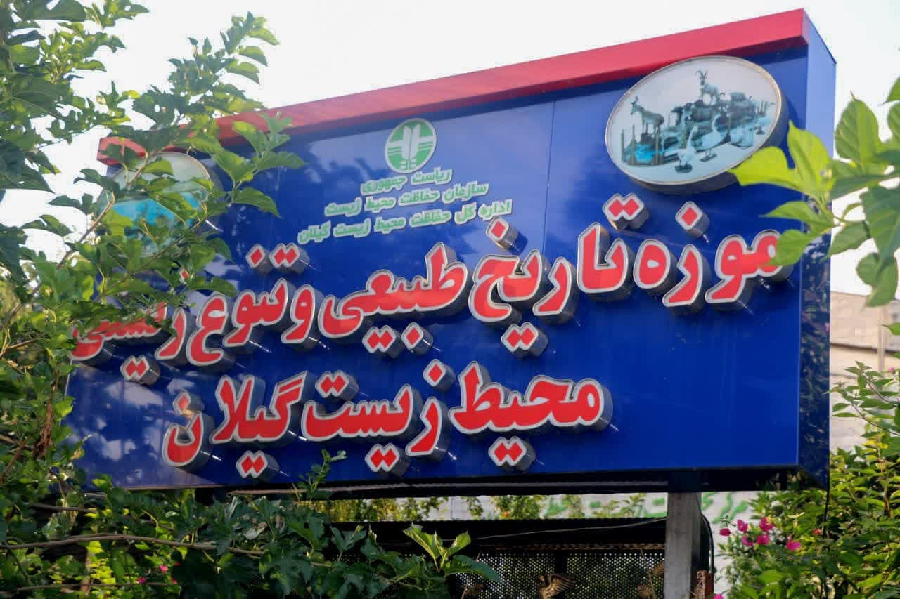 بازدید رایگان از موزه تاریخ طبیعی و تنوع زیستی گیلان به مناسبت روز جهانی موزه‌ها/موزه‌ها؛ بهترین بستر برای آموزش، ارتقای آگاهی عمومی و پیوند جامعه با میراث طبیعی + فیلم