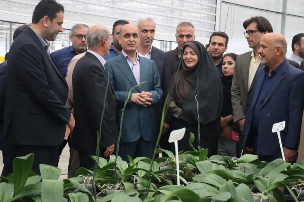 از مزرعه تا سفره؛ برنامه گیلان برای افزایش تولید محصولات کشاورزی