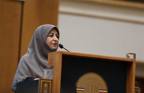 انصاری: استانداردها باید به ابزاری برای کاهش آلودگی و افزایش بهره‌وری تبدیل شوند.